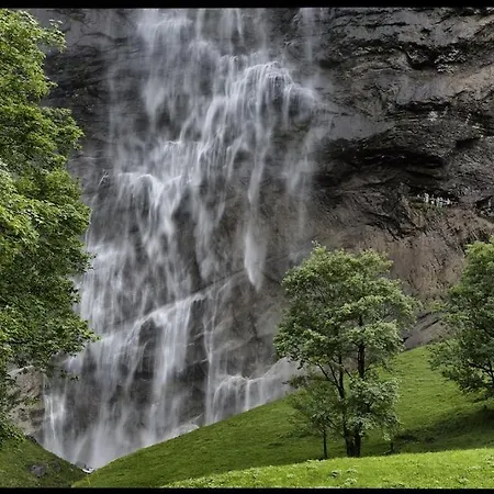 Cup Lauberhorn Flat Available *