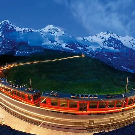 Cup Lauberhorn Flat Available