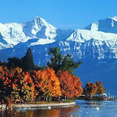 Cup Lauberhorn Flat Available Appartamento Wengen