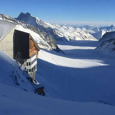 Cup Lauberhorn Flat Available *