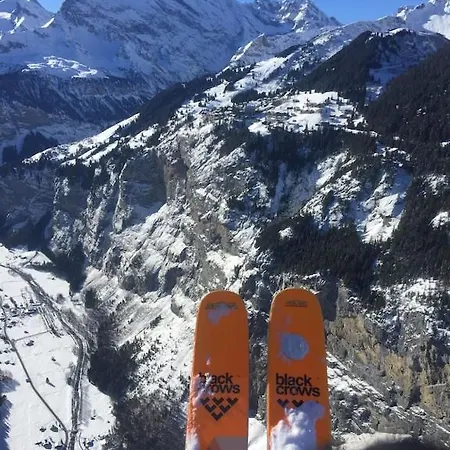 Διαμέρισμα Cup Lauberhorn Flat Available