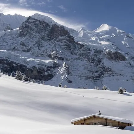 Διαμέρισμα Cup Lauberhorn Flat Available Βένγκεν