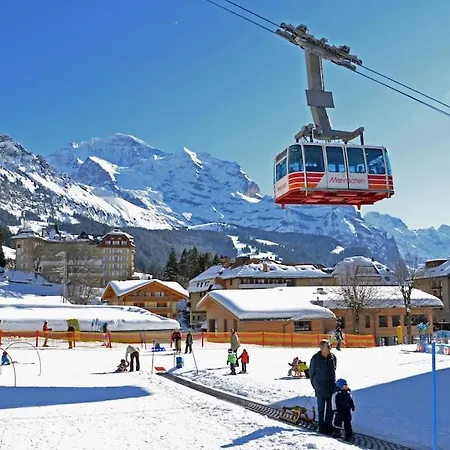 Cup Lauberhorn Flat Available *