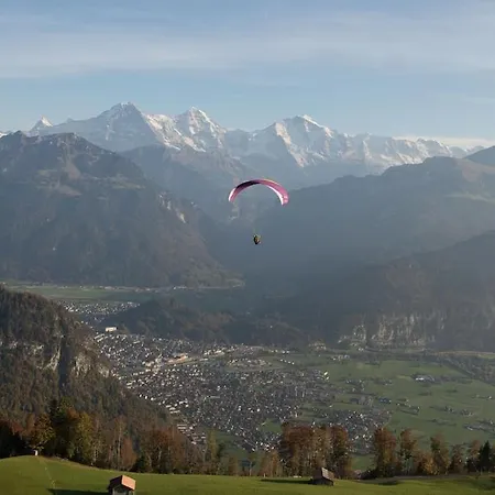 Cup Lauberhorn Flat Available * Wengen