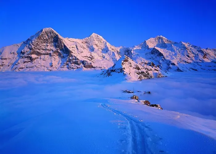 Apartamento Cup Lauberhorn Flat Available