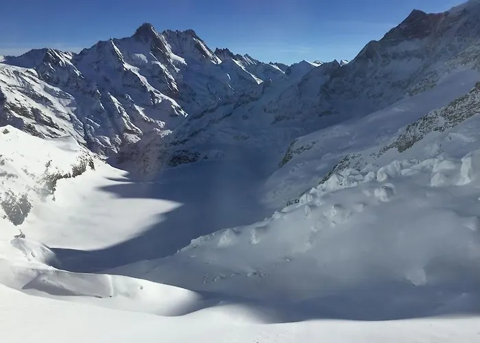 Cup Lauberhorn Flat Available Wengen