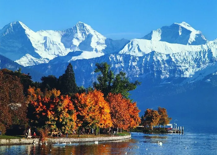 Cup Lauberhorn Flat Available Apartamento Wengen