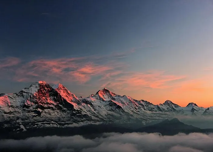 Apartment Cup Lauberhorn Flat Available Wengen
