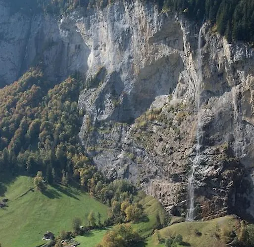 Cup Lauberhorn Flat Available