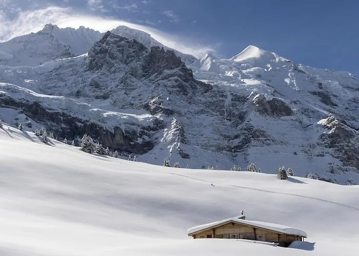 Apartamento Cup Lauberhorn Flat Available Wengen