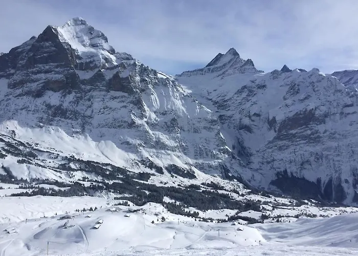 Cup Lauberhorn Flat Available Wengen