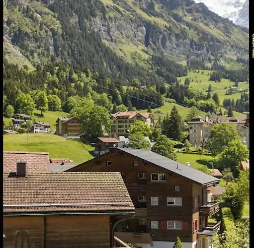 Cup Lauberhorn Flat Available