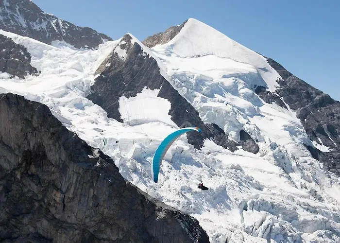 Cup Lauberhorn Flat Available *