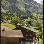 Cup Lauberhorn Flat Available