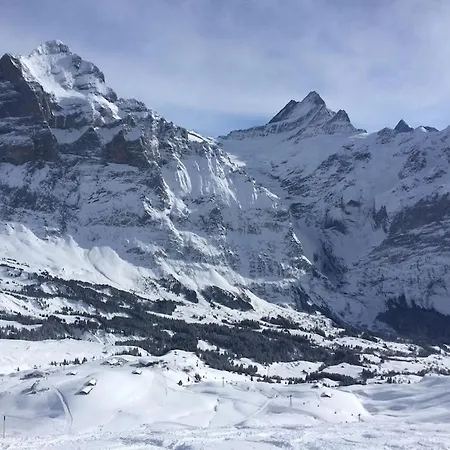 Cup Lauberhorn Flat Available Wengen