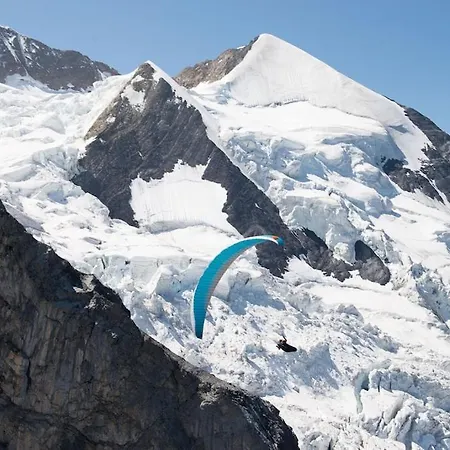 Cup Lauberhorn Flat Available *