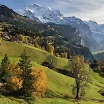 Cup Lauberhorn Flat Available * Wengen