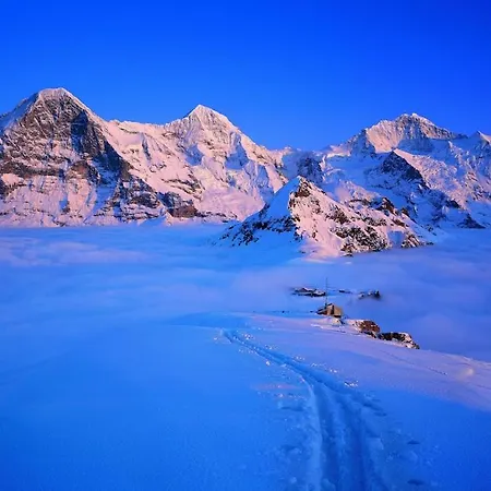 Apartamento Cup Lauberhorn Flat Available