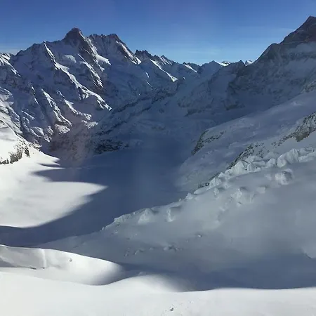 Cup Lauberhorn Flat Available Wengen
