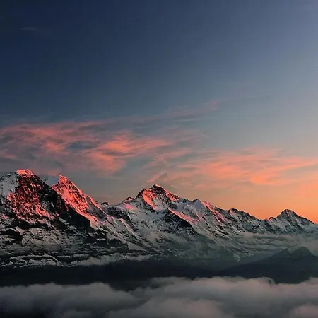 Apartamento Cup Lauberhorn Flat Available Wengen